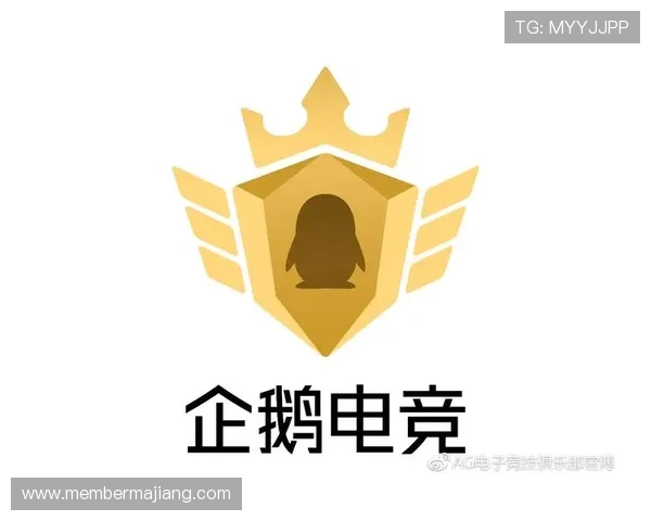 深入了解ag电子游戏技巧，轻松应对各种游戏挑战